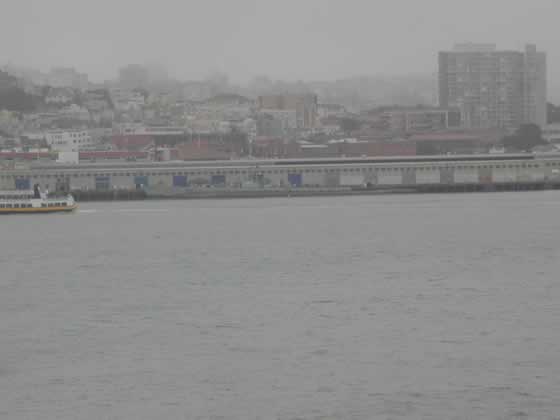 SF Harbor